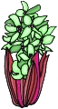 Everyday 日常 Flower 花･植物 Clip art クリップアート 60