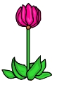 Everyday Flower Clip art 73