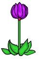 Everyday Flower Clip art 76