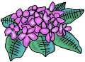 Everyday 日常 Flower 花･植物 Clip art クリップアート 80