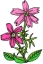 Everyday 日常 Flower 花･植物 Icon アイコン 70