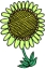 Täglich Blume Symbol 89