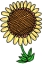 Täglich Blume Symbol 90