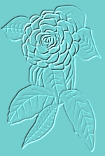 Everyday 日常 Flower 花･植物 Wallpaper 壁紙 33