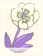 Täglich Blume Hintergrundbild 44