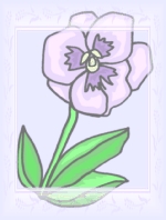 Täglich Blume Hintergrundbild 46