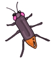 Everyday Insects Clip art 18