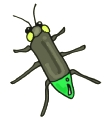 Everyday Insects Clip art 19