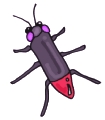 Everyday Insects Clip art 21