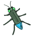 Everyday Insects Clip art 23