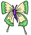 Everyday Insects Clip art 58