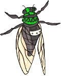Tous les jours Insectes Clip art 62