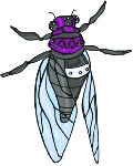Täglich Insekten ClipArt 63