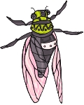 Täglich Insekten ClipArt 67