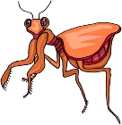 Todos los días Insectos Imágenes prediseñadas 69