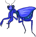 Everyday Insects Clip art 70