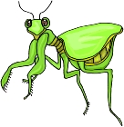 Everyday Insects Clip art 72