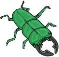 Everyday 日常 Insects 昆虫･爬虫類 Clip art クリップアート 75