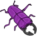Everyday Insects Clip art 76