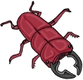 Everyday Insects Clip art 77
