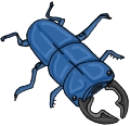 Everyday Insects Clip art 78