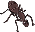 Everyday Insects Clip art 83