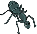 Everyday Insects Clip art 84
