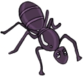 Everyday Insects Clip art 85
