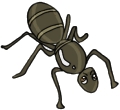 Everyday Insects Clip art 86