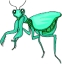 Täglich Insekten Symbol 27