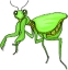 Täglich Insekten Symbol 31