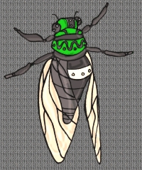 Täglich Insekten Hintergrundbild 39