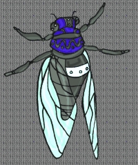 Täglich Insekten Hintergrundbild 40