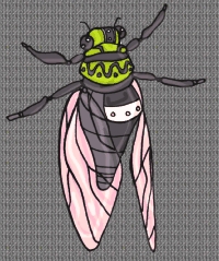 Täglich Insekten Hintergrundbild 41