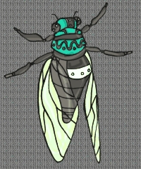 Täglich Insekten Hintergrundbild 42