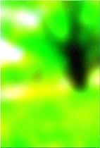 Зеленое лесное дерево 01 145