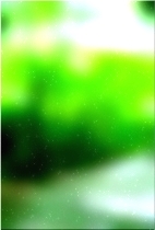 绿色森林树 01 206