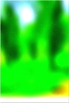 绿色森林树 01 222