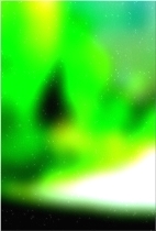 हरे भरे जंगल का पेड़ 01 253