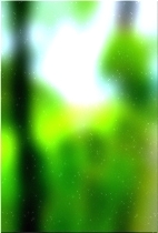 Зеленое лесное дерево 01 42