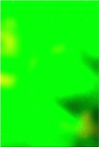 Зеленое лесное дерево 01 469