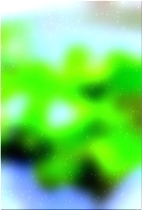 Green forest tree 02 117
