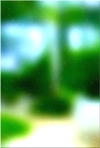 हरे भरे जंगल का पेड़ 02 125