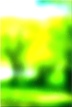 Green forest tree 02 371