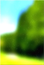 绿色森林树 03 29