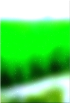 Árbol forestal verde 03 294