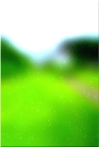 Árbol forestal verde 03 331