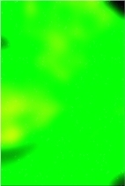 녹색 숲 tree 03 371