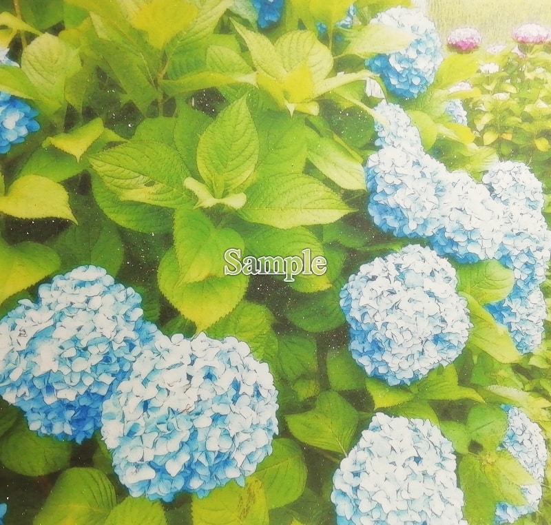 花 紫陽花 03 Flower Hydrangea