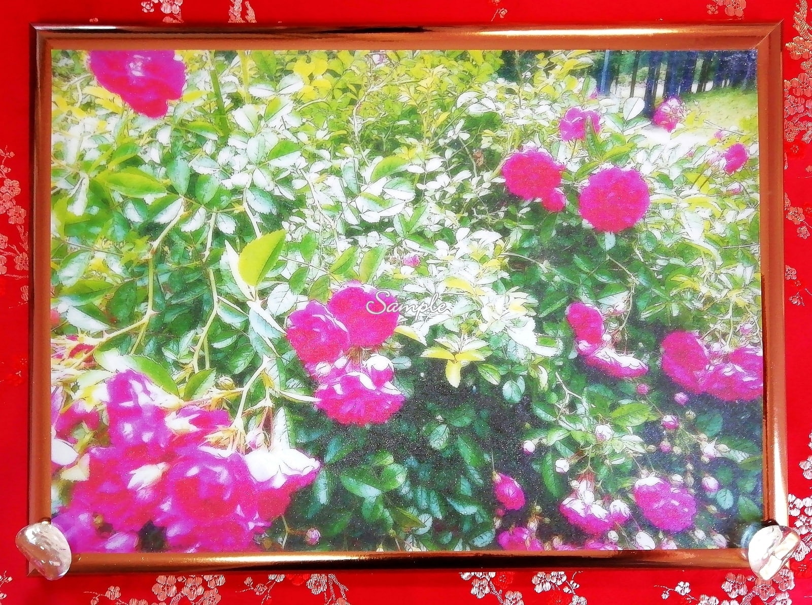 Flower 花 2